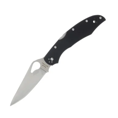 Spyderco Byrd Cara Cara 2 Folding Knife Black G-10 SPBY03GP