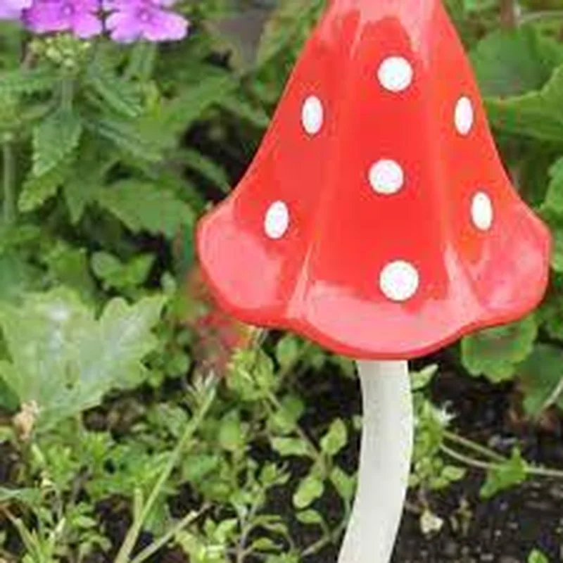 Toadstool Red PolkadotM