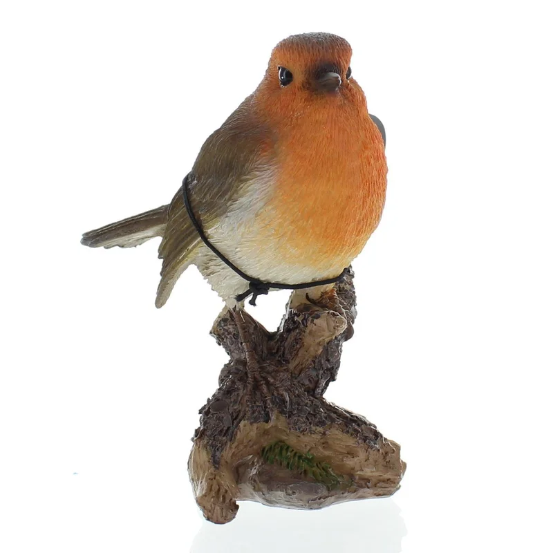 WBC Robin F