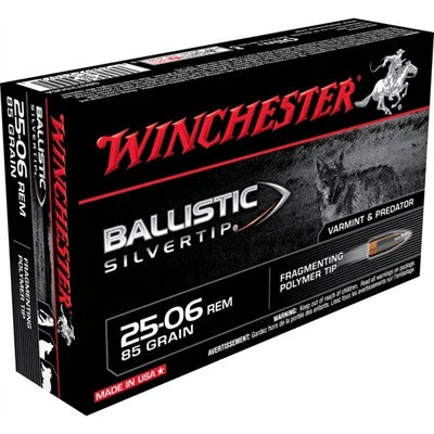 Winchester SBST2506A Ballistic Silvertip Fragmenting Polymer Tip85 Grain .25-06 Remington
